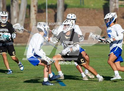 Thumbnail 3 in Canyon vs Cate (CIF-SS D2 Wild Card) photogallery.