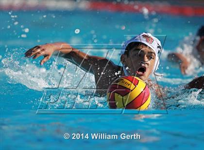 Thumbnail 1 in Los Gatos @ Lynbrook photogallery.