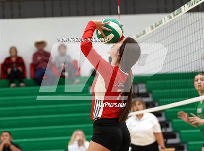Thumbnail 2 in Sam Rayburn @ Tioga photogallery.