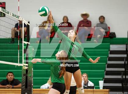 Thumbnail 2 in Sam Rayburn @ Tioga photogallery.