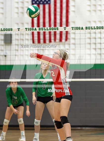 Thumbnail 1 in Sam Rayburn @ Tioga photogallery.