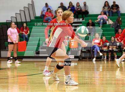 Thumbnail 2 in Sam Rayburn @ Tioga photogallery.