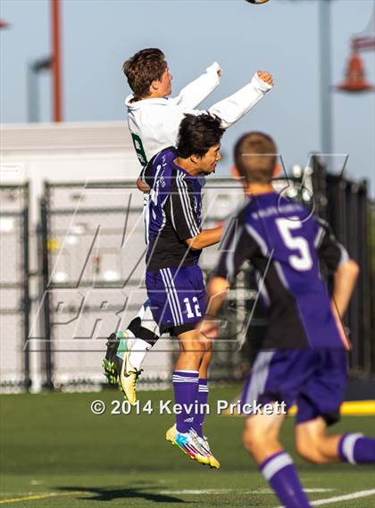 Thumbnail 3 in Douglas County vs. Mountain Vista  photogallery.