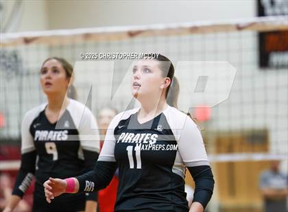 Thumbnail 2 in Manatee @ Braden River photogallery.