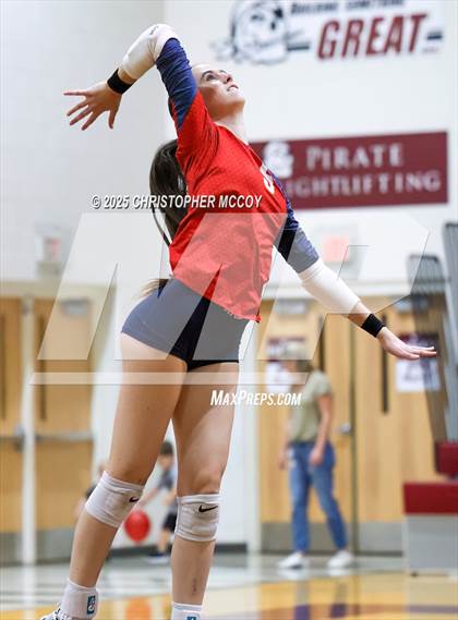 Thumbnail 1 in Manatee @ Braden River photogallery.