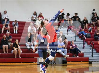 Thumbnail 2 in Manatee @ Braden River photogallery.