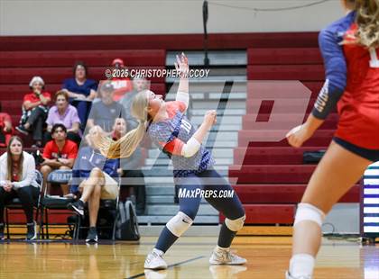 Thumbnail 3 in Manatee @ Braden River photogallery.