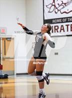 Photo from the gallery "Manatee @ Braden River"