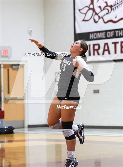 Thumbnail 1 in Manatee @ Braden River photogallery.