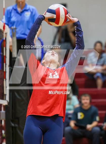 Thumbnail 2 in Manatee @ Braden River photogallery.