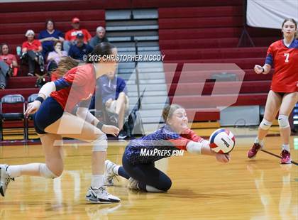 Thumbnail 2 in Manatee @ Braden River photogallery.