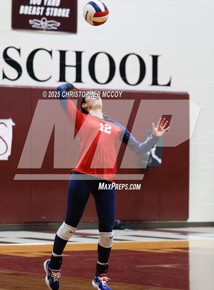 Thumbnail 3 in Manatee @ Braden River photogallery.