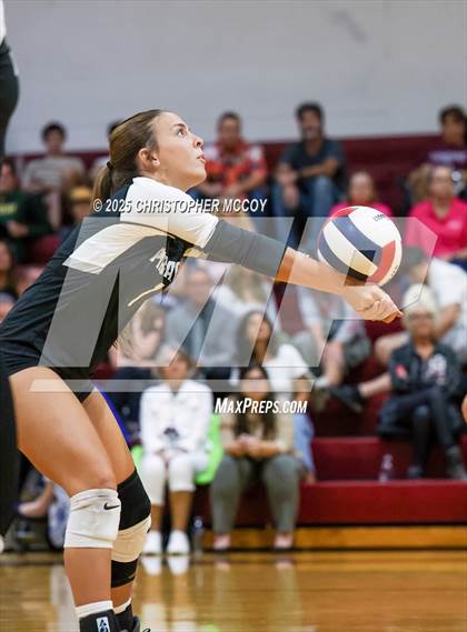 Thumbnail 1 in Manatee @ Braden River photogallery.