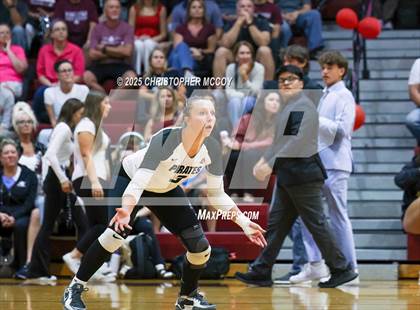 Thumbnail 1 in Manatee @ Braden River photogallery.