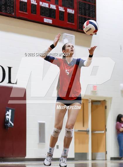 Thumbnail 3 in Manatee @ Braden River photogallery.