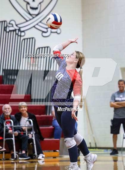 Thumbnail 3 in Manatee @ Braden River photogallery.