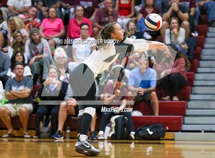 Thumbnail 2 in Manatee @ Braden River photogallery.