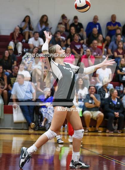 Thumbnail 3 in Manatee @ Braden River photogallery.