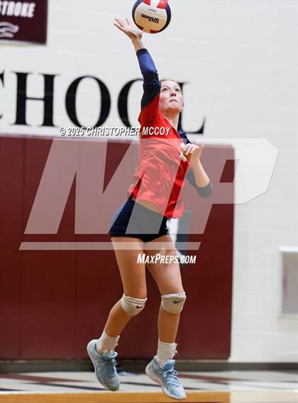 Thumbnail 1 in Manatee @ Braden River photogallery.