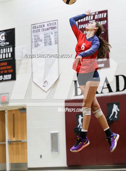 Thumbnail 2 in Manatee @ Braden River photogallery.