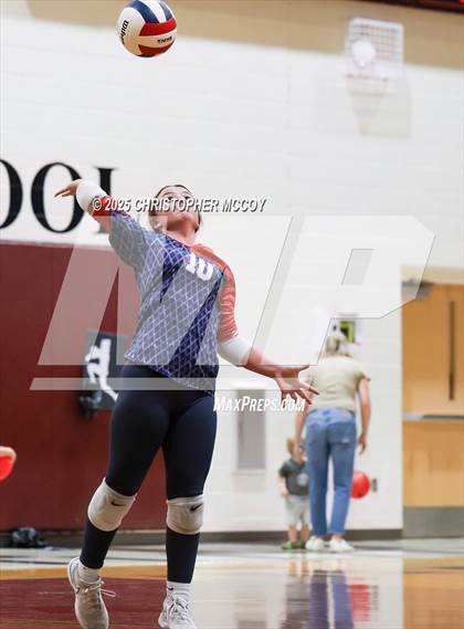 Thumbnail 2 in Manatee @ Braden River photogallery.