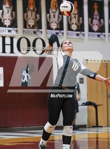 Thumbnail 3 in Manatee @ Braden River photogallery.