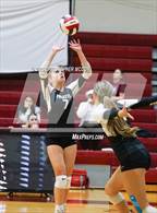 Photo from the gallery "Manatee @ Braden River"