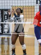 Photo from the gallery "Manatee @ Braden River"