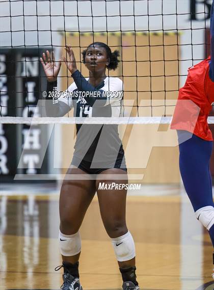 Thumbnail 2 in Manatee @ Braden River photogallery.