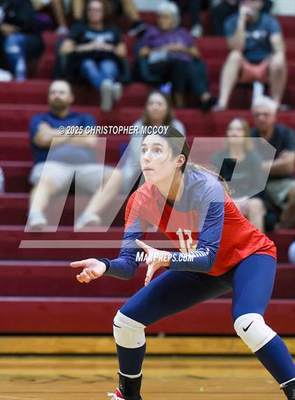 Thumbnail 3 in Manatee @ Braden River photogallery.