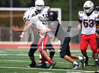 Thumbnail 1 in JV: Eureka @ Novato photogallery.