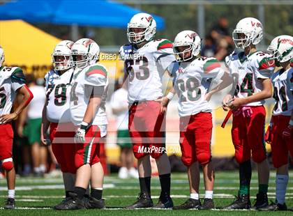 Thumbnail 3 in JV: Eureka @ Novato photogallery.