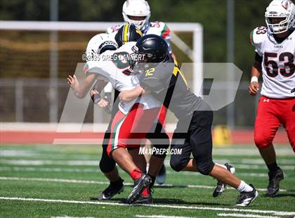 Thumbnail 2 in JV: Eureka @ Novato photogallery.