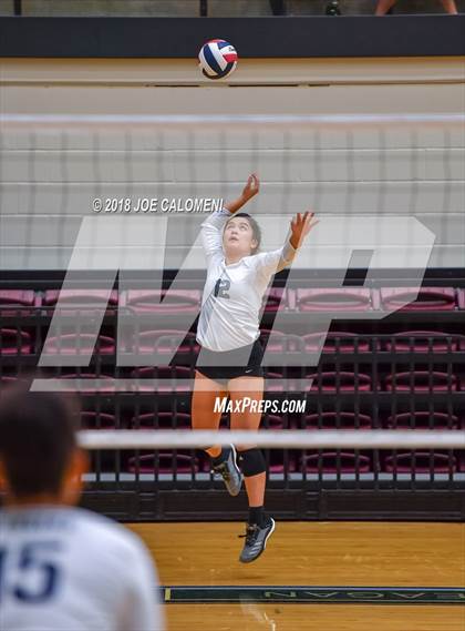 Thumbnail 2 in Smithson Valley vs Steele (NEISD Volleyball Tournament) photogallery.