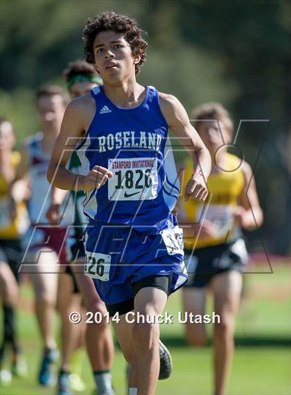 Thumbnail 2 in Stanford Invitational Boys 5K Division 3-5 Race photogallery.