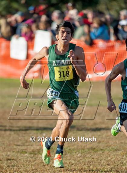 Thumbnail 2 in CIF State Cross Country Championships (D2 Boys) photogallery.