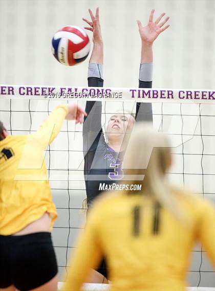 Thumbnail 3 in Fossil Ridge @ Timber Creek photogallery.