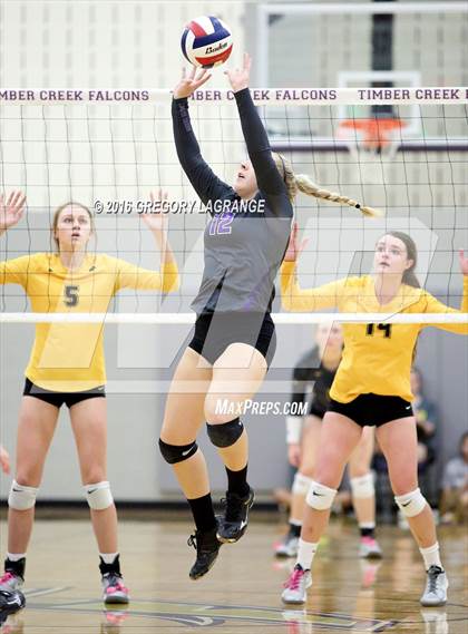 Thumbnail 3 in Fossil Ridge @ Timber Creek photogallery.