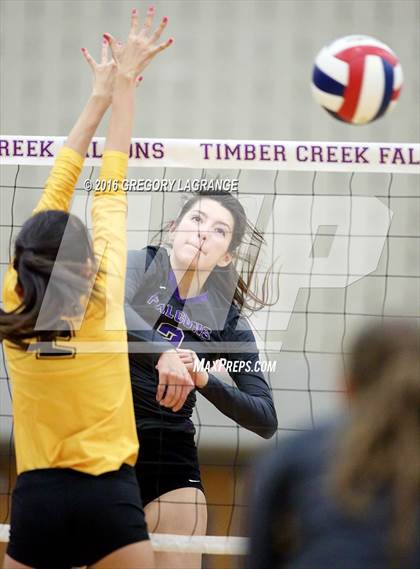 Thumbnail 3 in Fossil Ridge @ Timber Creek photogallery.