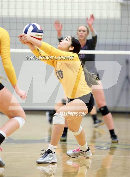 Thumbnail 2 in Fossil Ridge @ Timber Creek photogallery.