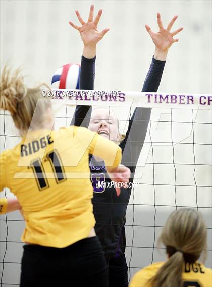 Thumbnail 1 in Fossil Ridge @ Timber Creek photogallery.