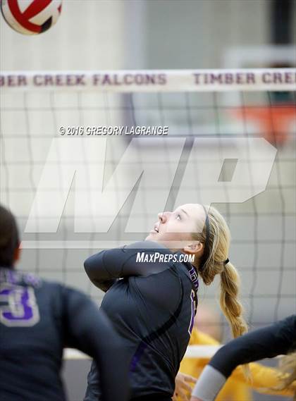 Thumbnail 2 in Fossil Ridge @ Timber Creek photogallery.