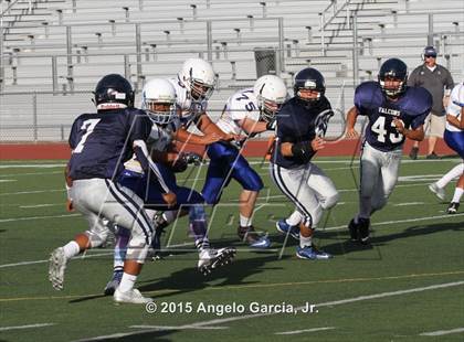 Thumbnail 3 in Will C. Wood vs Freedom Falcons photogallery.