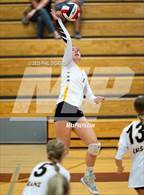 Photo from the gallery "Green Mountain @ Golden"