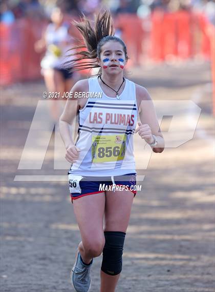Thumbnail 1 in CIF State Cross Country Championships (Girls D4 Race) photogallery.
