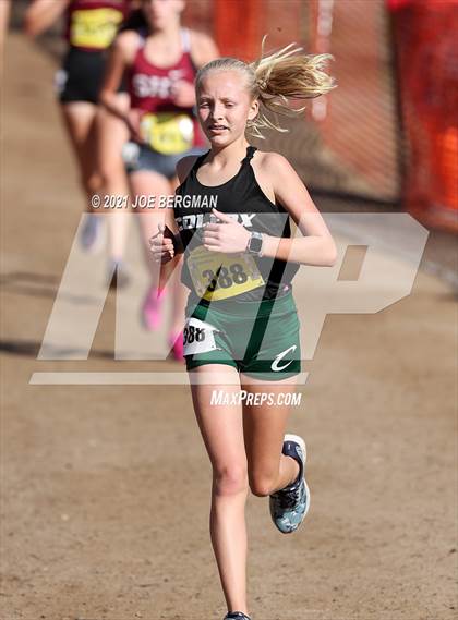 Thumbnail 2 in CIF State Cross Country Championships (Girls D4 Race) photogallery.