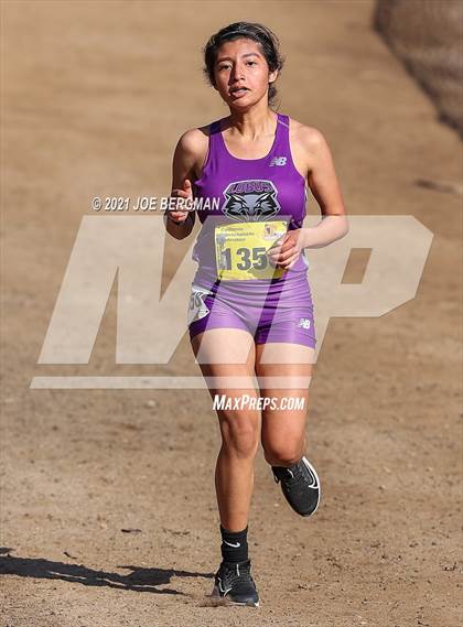 Thumbnail 3 in CIF State Cross Country Championships (Girls D4 Race) photogallery.