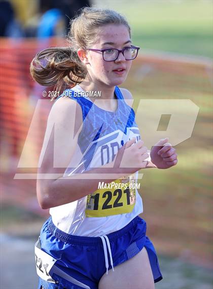Thumbnail 2 in CIF State Cross Country Championships (Girls D4 Race) photogallery.