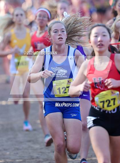 Thumbnail 1 in CIF State Cross Country Championships (Girls D4 Race) photogallery.