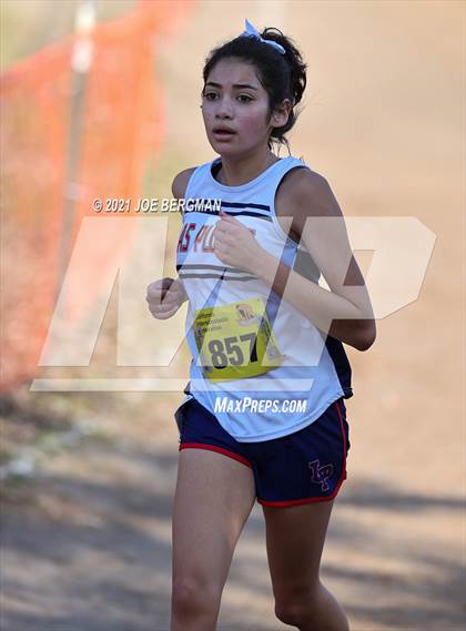 Thumbnail 1 in CIF State Cross Country Championships (Girls D4 Race) photogallery.